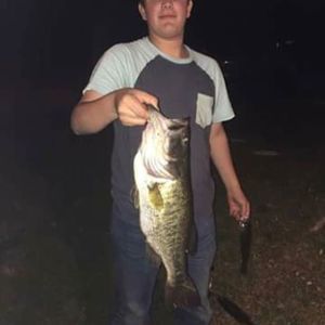 Meet your Posher, Luke